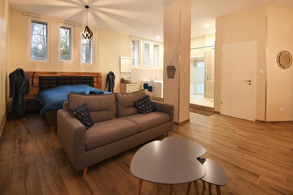 Appartement Loft Detente Strazburg Dış mekan fotoğraf
