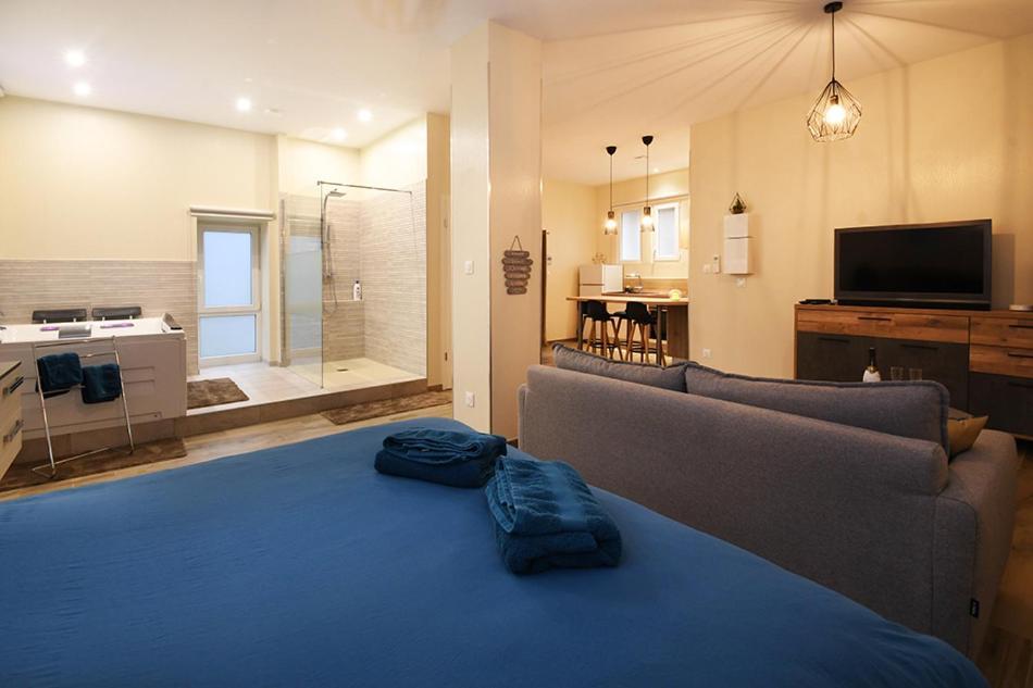 Appartement Loft Detente Strazburg Dış mekan fotoğraf